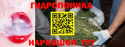 дмт Брянск