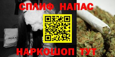 дмт Брянск