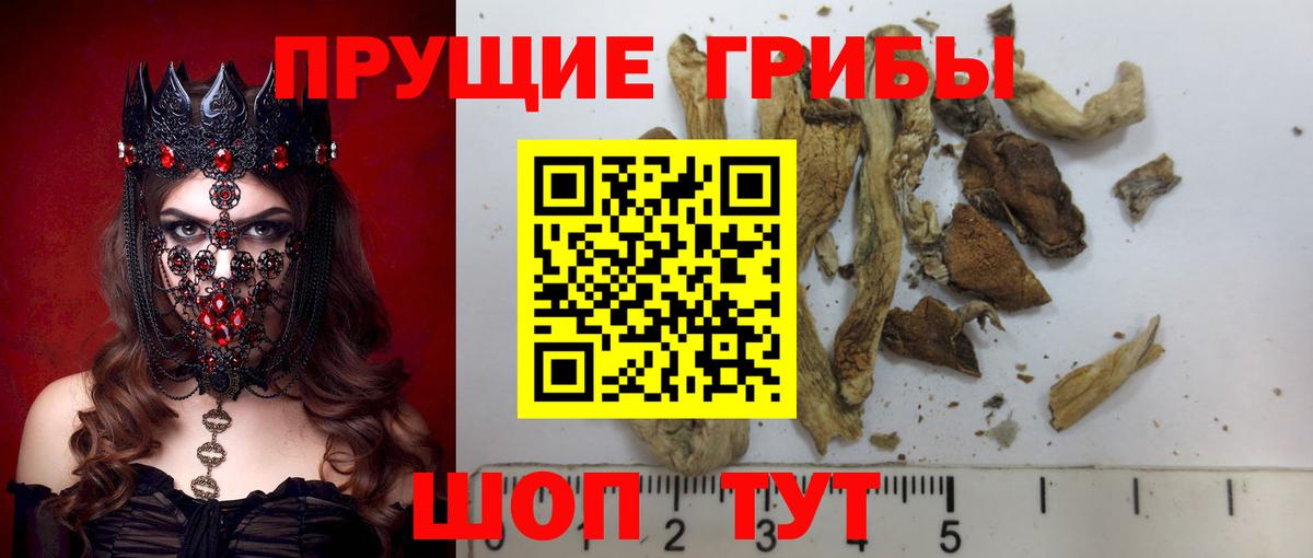 Псилоцибиновые грибы GOLDEN TEACHER Бердск